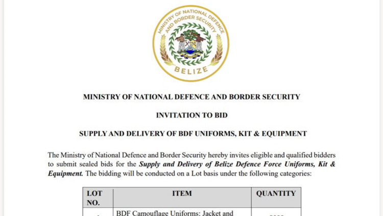 Eight Thousand BDF Uniforms, One Closely Watched Bid