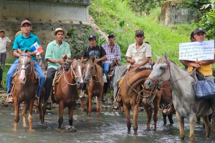 ‘We are not extortionists’: Peasants from Río Indio reject Mulino’s speech at the UN