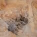 Copper becomes Anglo Asian Mining’s primary product in Azerbaijan