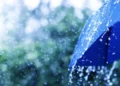 Warning: Heavy thunderstorms across 9 states starting at midday – Al-Shorouk Online