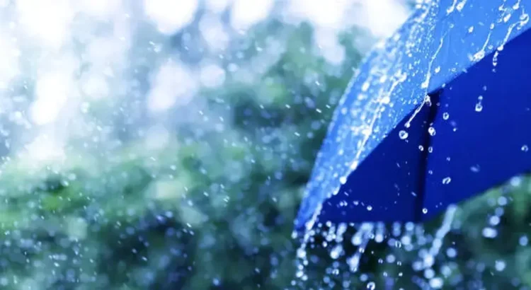 Warning: Heavy thunderstorms across 9 states starting at midday – Al-Shorouk Online