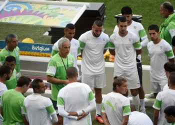 From Jeddawi to Petkovic… passing through Halilhodzic – Al-Shorouk Online
