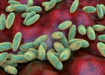 What is the pneumonic plague and how it spreads, being studied in the Siberian laboratory where a worker died