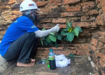 Future Bagan Accelerates Conservation of Ancient Pagodas in Bagan