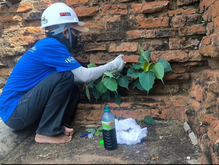 Future Bagan Accelerates Conservation of Ancient Pagodas in Bagan