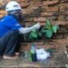 Future Bagan Accelerates Conservation of Ancient Pagodas in Bagan