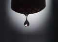 Drought and pollution threaten drinking water: Swiss conference