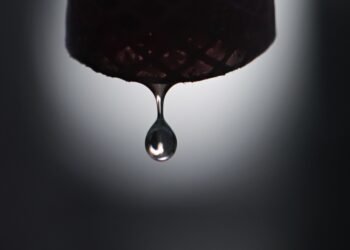 Drought and pollution threaten drinking water: Swiss conference