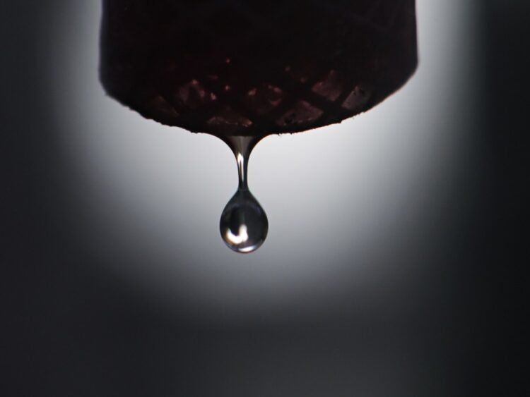 Drought and pollution threaten drinking water: Swiss conference