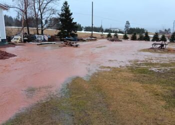 E. coli showed up in drinking water on P.E.I.’s South Shore. Now, residents want government to step in