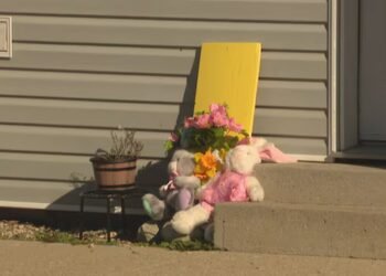 U.S. hunter charged in Sask. crash that killed 3 still in hospital as court process begins