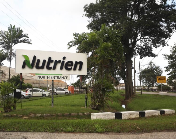 ‘WHAT AM I TO DO NOW?’Nutrien closure leaves workers fearful for future