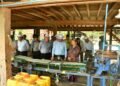 Agricultural, Infrastructure, and Research Projects inspected in PutaO
