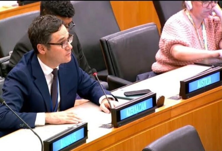 Azerbaijan highlights global significance of Baku Call to Action at UN