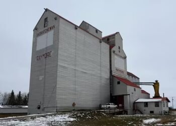 Sask. farmer trying to sell or donate town’s grain elevator to avoid demolition