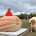 Ontario grower’s 1,711-pound pumpkin nearly snagged top prize at Pumpkinfest. Then he was disqualified