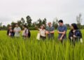 Switzerland supports climate resilience, renewable energy and local economic development in Ayeyawady Region