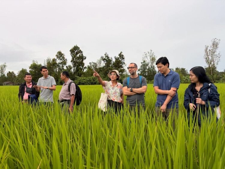 Switzerland supports climate resilience, renewable energy and local economic development in Ayeyawady Region