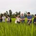 Switzerland supports climate resilience, renewable energy and local economic development in Ayeyawady Region