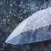 Special alert: Heavy rain reaching 50 mm across 17 states until Friday – Al-Shorouk Online