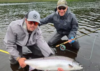 ‘Our river is almost dead’: What’s killing an iconic Miramichi fishery?