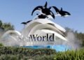 Former Marineland beluga whale dies at California theme park