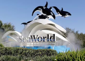 Former Marineland beluga whale dies at California theme park