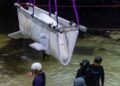 The Marineland belugas keep dying. Was it a mistake to move them?