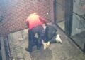 Video of man helping homeless couple should inspire compassion and change, building manager says