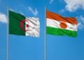 New military cooperation with Algeria will bring economic results – Al-Shorouk Online