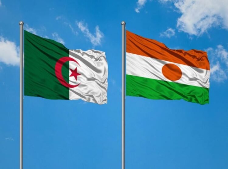 New military cooperation with Algeria will bring economic results – Al-Shorouk Online