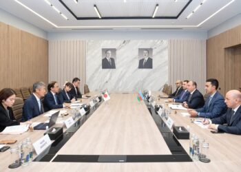 Azerbaijan, Japan discuss ways to expand cooperation in digital development (PHOTO)