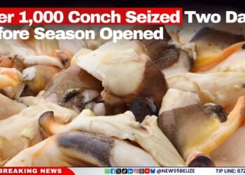 60+ Coconut Farmers Trained to Spot and Stop Crop Threats. Your District Is Next?