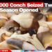 60+ Coconut Farmers Trained to Spot and Stop Crop Threats. Your District Is Next?