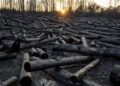 Top global climate science body suspends meeting without deal on major review timeline
