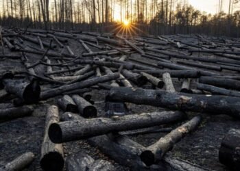 Top global climate science body suspends meeting without deal on major review timeline