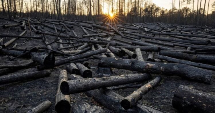 Top global climate science body suspends meeting without deal on major review timeline
