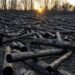 Top global climate science body suspends meeting without deal on major review timeline
