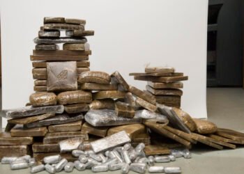 Man arrested for smuggling hashish