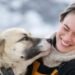 PhD defense on the sled dog culture in Greenland