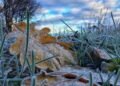 Storm warning: Frosts are expected in several areas of Kyrgyzstan on October 17-18