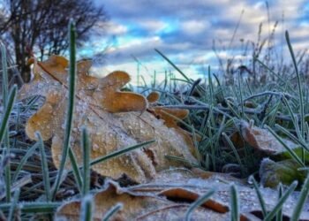 Storm warning: Frosts are expected in several areas of Kyrgyzstan on October 17-18