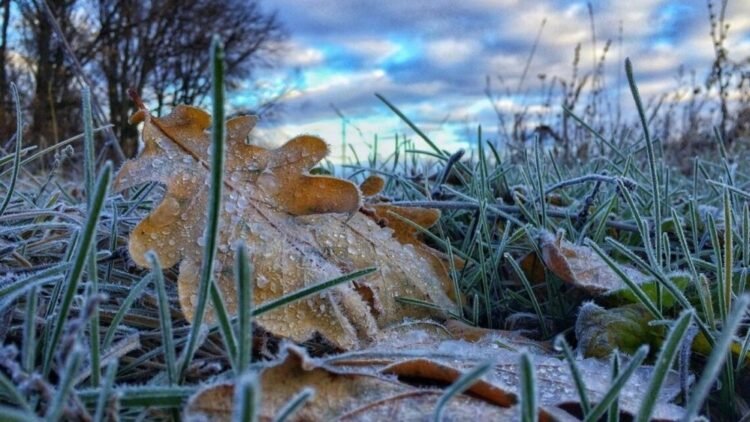 Storm warning: Frosts are expected in several areas of Kyrgyzstan on October 17-18