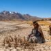 El cambio climático causó casi 3 millones de muertes relacionadas con el calor entre 2016 y 2023 | INFORME