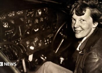 Crew searching for Amelia Earhart plane lands at remote island infested with carnivorous crabs