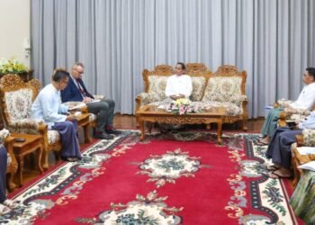 Myanmar, IUCN discuss nature conservation cooperation