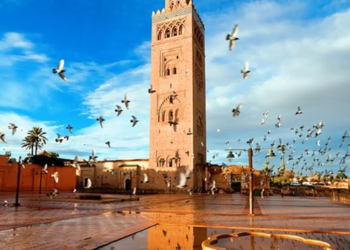 Marrakesh…from Abu Lahab to the firewood carrier – Al-Shorouk Online