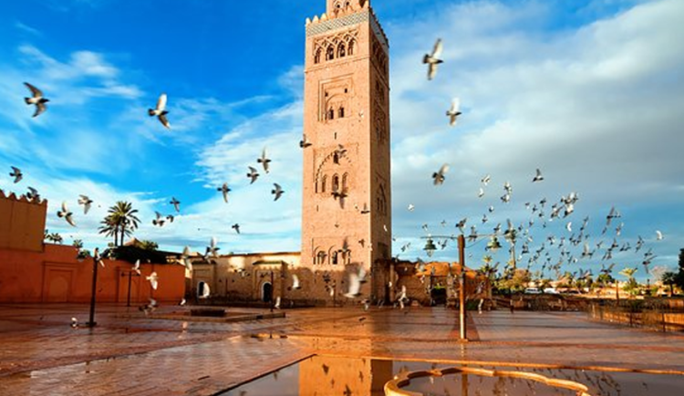 Marrakesh…from Abu Lahab to the firewood carrier – Al-Shorouk Online