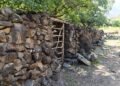 Turmush: Batkendin toolorunda 16-kylymga taandyk ui, koroolor saktalyp galgan
