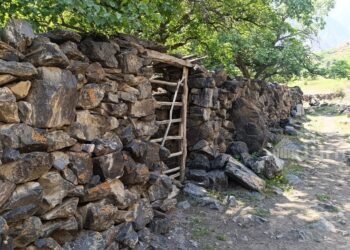 Turmush: Batkendin toolorunda 16-kylymga taandyk ui, koroolor saktalyp galgan